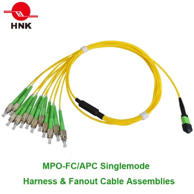 Arnés MPO y conjuntos de cables de salida
